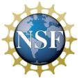 NSF Icon